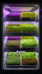 Tiny Sprout Farm Business Idea Mini Indoor Microgreens Startup Small Space Farming Idea 2025 Tiny Sprout Farm for Beginners Profitable Indoor Microgreen Business Grow Microgreens at Home Business Idea Tiny Farming Idea With B Reacts | DIY videos | crafts