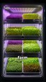 Tiny Sprout Farm Business Idea Mini Indoor Microgreens Startup Small Space Farming Idea 2025 Tiny Sprout Farm for Beginners Profitable Indoor Microgreen Business Grow Microgreens at Home Business Idea Tiny Farming Idea With B Reacts | DIY videos | crafts