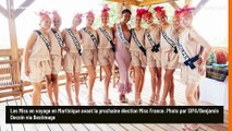 Qui pour remplacer Julie Zitouni (Miss Provence), destituée après Miss France 2026 ? On a la réponse et c'est inattendu
