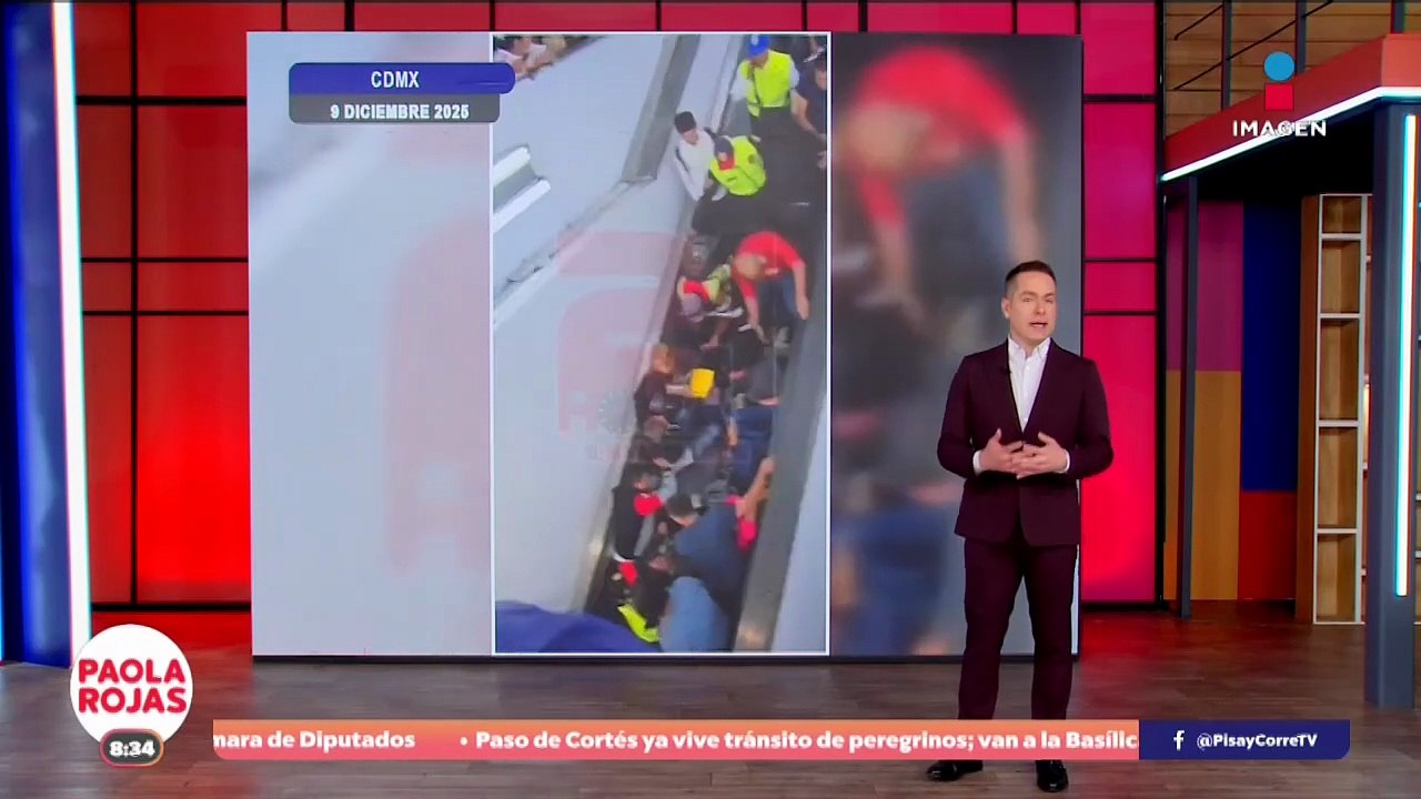 Orcas sorprenden a pescadores en costas de Colima | DPC con Paola Rojas