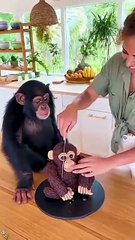 Phillies land All-Star closer Jhoan Duran ahead of MLB trade deadline 👀🔥 #JhoanDuran