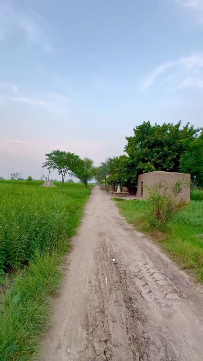My Village Life 😄😄😄