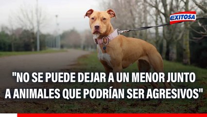 Rodrigo Rondón: "Uno no puede dejar a un menor junto a animales que podrían comportarse de manera agresiva"
