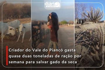 Criador do Vale do Piancó gasta quase duas toneladas de ração por semana para salvar gado da seca
