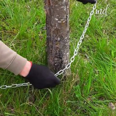 A simple way to pull out trees!