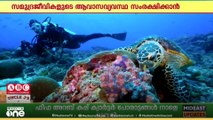 സമുദ്ര ജീവികളുടെ ആവാസ വ്യവസ്ഥ സംരക്ഷിക്കാൻ കൃത്രിമ പവിഴപ്പുറ്റുകളുമായി ദുബൈ