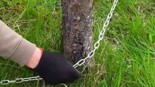 A simple way to pull out trees!