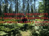 De naturaleza violenta - Trailer español