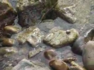 Remise à la mer de Super Glu