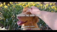 Good Boy: Trailer HD VO st FR/NL