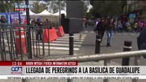 Autoridades piden no llevar mascotas a la Basílica de Guadalupe: muchos terminan abandonados