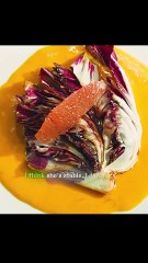 It is something that harms the taste buds for chefs to study new dishes#shorts #shortvideo