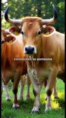 Cancer daily zodiac horoscope