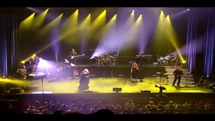 MICHÈLE TORR — Le pont de Courthézon | MICHÈLE TORR : OLYMPIA 2011 | BRUNO COQUATRIX