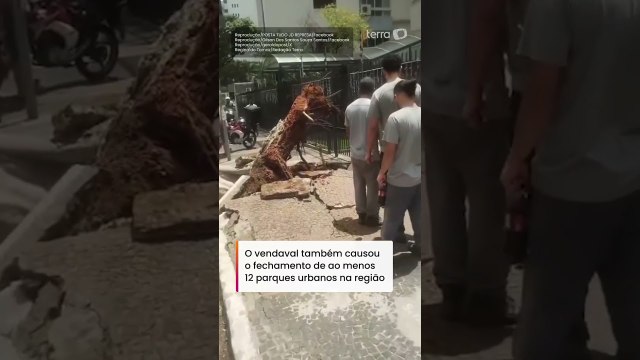 Ventania em São Paulo derruba árvores, fecha parques e deixa milhões sem energia #shorts