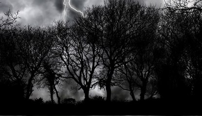 Faites attention quand vous êtes dans la forêt !