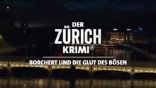 Der Zürich-Krimi -24- Borchert und die Glut des Bösen