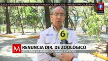 Renuncia director del Zoológico de León tras muerte de varias especies