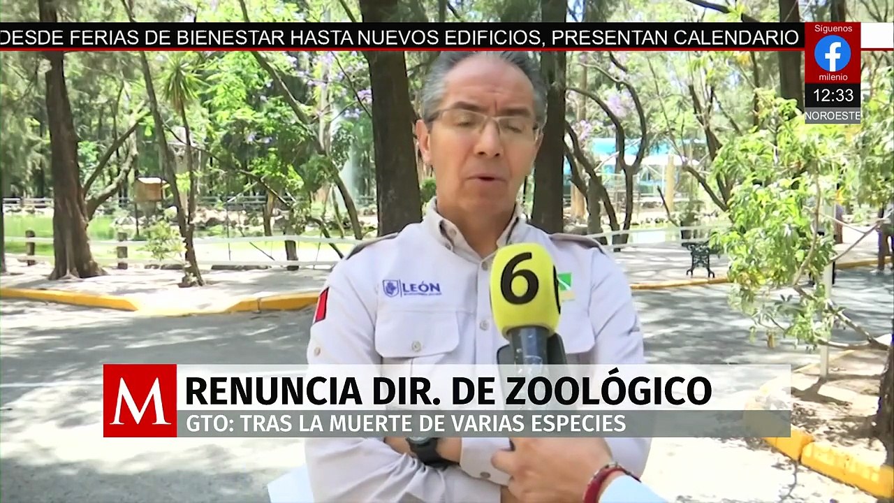 Renuncia director del Zoológico de León tras mu...