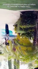 A Mothers Triumph I Have Three Powerful Sons Full