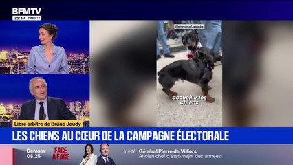 LIBRE ARBITRE DE BRUNO JEUDY - Les chiens au cœur de la campagne électorale