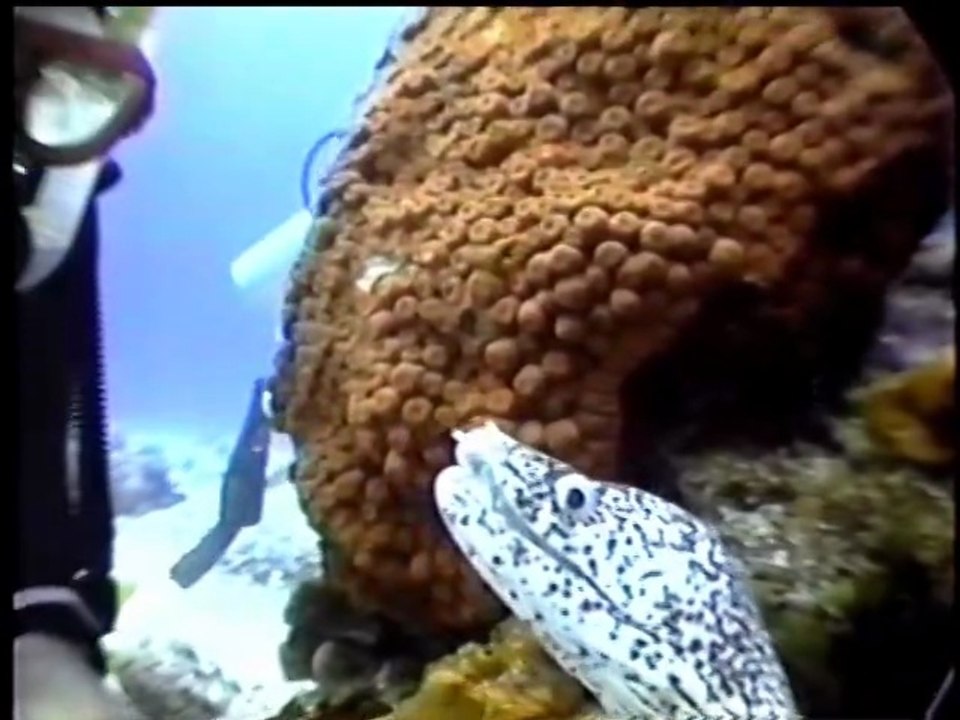 Cozumel 1998