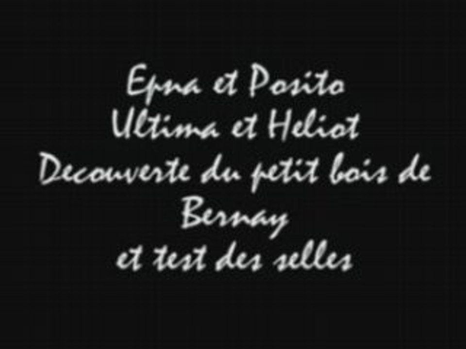 Ultima-epna-petit bois