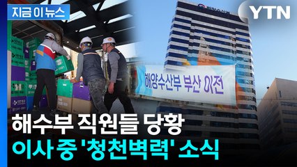 "예상 못했다" 간부들도 당황...해수부, 이사도중 장관 사의 '날벼락' [지금이뉴스]  / YTN