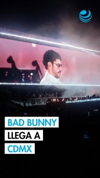 CNOG advierte sobre pérdidas por 700 millones de dólares ante freno de exportación de ganado por gusano barrenador