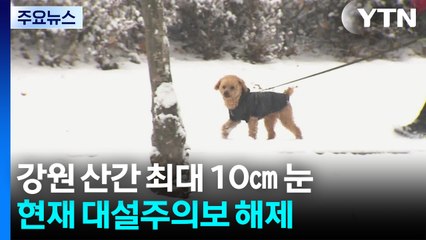 [날씨] 강원 산간 오후부터 또 최대 10cm 눈...서해안 한파주의보 / YTN
