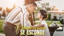 Donde el amor se esconde (Doblado) en Español
