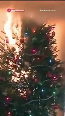 🎄 ¿Ya revisaste tus conexiones? Recuerda que las luces navideñas pueden fallar y provocar incendios 💡🔥