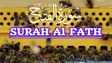 “Surah Al-Fath Last Ayat | فتح کی برکتیں | Quran Tilawat / “Powerful Last Ayat of Surah Al-Fath | فتح کی عظیم دعا | Tilawat