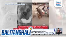 Aso, patay matapos paghahampasin; suspek, sinampahan ng kaukulang kaso | Balitanghali
