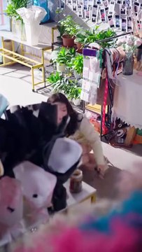 After five years of marriage, they have always been indifferent during the day, lingering in the same bed at night, torturing each other in different dreams, but because of the rules of wealthy families that only widowhood and no divorce are allowed, they