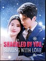 Shackled by You Soaring With Love Chinese Drama - English Sub