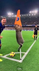 … molto bene. E da qui, adesso, come se ne esce⁉️⁉️⁉️ 🤣🤣🤣🤣🤣🤣🤣🤣