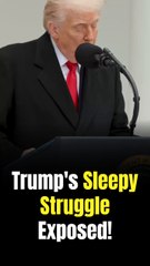 'Sensitive' Trump Raging Over Being Compared to Rival 'Sleepy Joe' After Prez Busted Struggling to Stay Awake... as Health Rumors Explode