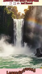 Adsense Tips every wordpress blogger must know | earnings VS better content #contentcreation #blogger #adsense #monitizationadsonreels #monitization