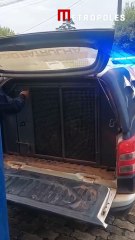 Homem mata esposa a facadas, filma o corpo e envia o vídeo à ex-namorada