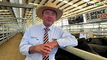 Naracoorte Angus Feature Female Sale and Weaner & Feeder Sale