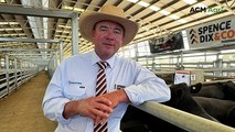 Naracoorte Angus Feature Female Sale and Weaner & Feeder Sale