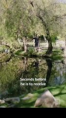 king of guns dailymotion