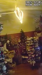 Deer goes wild, breaks into Christmas shop and gets stuck in chair