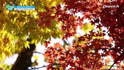 혈당 관리가 시급하다?! 골골 주민의 잘못된 습관은?