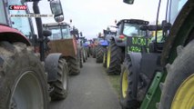 Abattage de troupeaux : mobilisation des agriculteurs en Ariège