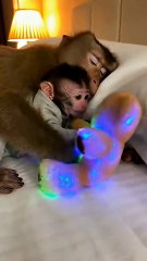 Mom can't take it anymore 😅 #teddybear #mom #funny #fyp