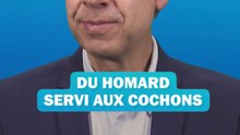Les homard, c'est pour les cochons ! - Voyage dans le temps avec Stéphane Bern