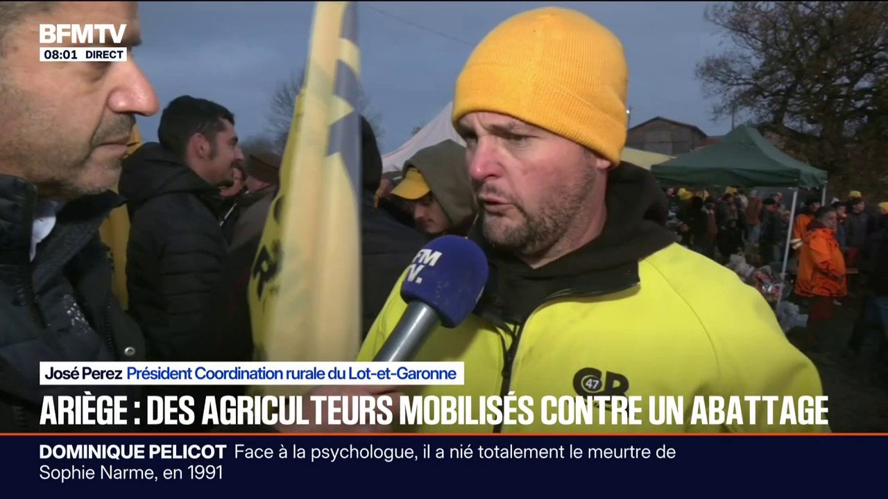 "Il faut arrêter ce système": des agriculteurs réunis contre l'abattage des vaches touchées par la dermatose bovine