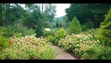 Hasta Que El Cielo Nos ReúNa Episodio 11 Latino